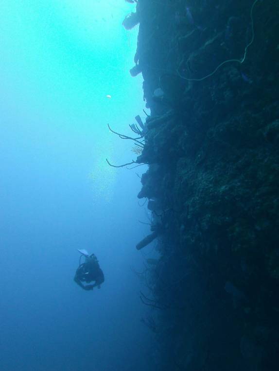 Acompanhando as impressionantes paredes do Marilyn's Cut, em Little Cayman, nas Ilhas Caiman